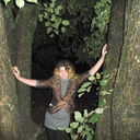 ���������� ����, ���� ������� ����, 38 ���, ������������ 