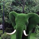 ���������� ���������, ���� ������� ������, 35 ���, ������������ ��� ������, ����� � ���������