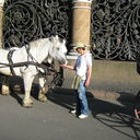 ���������� �����-���������, ���� ������� �����������, 56 ���, ������������ ��� ������