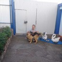 ���������� �������, ���� ������� ���������, 38 ���, ������������ ��� ������, ����� � ���������, c�������� ���������