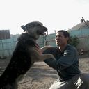 ���������� ������, ���� ������� Aleks, 45 ���, ������������ ��� ������