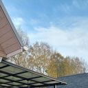 ���������� ���������, ���� ������� ������, 36 ���, ������������ ��� ������, ����� � ���������, c�������� ���������