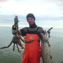 ���������� ��������, ���� ������� �����, 37 ���, ������������ ��� ������, ����� � ���������, c�������� ���������