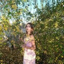 ���������� ������, ���� ������� ��������, 20 ���, ������������ ��� ������, ����� � ���������