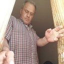 ���������� �����, ���� ������� ����, 55 ���, ������������ ��� ������