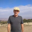  Dolphin,   , 75 ,   ,   