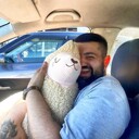 ���������� �������, ���� ������� Anzor, 31 ���, ������������ ��� ������, ����� � ���������, c�������� ���������, ���������