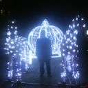 ���������� �������, ���� ������� �����1983, 42 ����, ������������ ��� ������