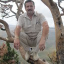  ,   Vladimir, 64 ,     , c 