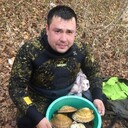  -,   , 41 ,   ,   , c 