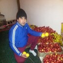  ,   ko, 38 ,   ,   , c , 