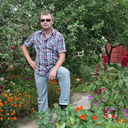  ,   Tirafael, 46 ,   