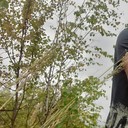 ���������� �����������, ���� ������� ������, 38 ���, ������������ ��� ����� � ���������, c�������� ���������