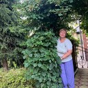  ,   , 60 ,  