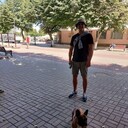  ,   , 31 ,   ,   , c 