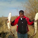  ,   Murza, 64 ,   