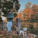 ���������� ������, ���� ������� ������, 36 ���, ������������ ��� ����� � ���������, c�������� ���������