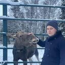 ���������� ���������, ���� ������� �������, 31 ���, ������������ ��� ������, ����� � ���������