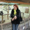 ���������� ���������, ���� ������� Simfoniua, 58 ���, ������������ ��� c�������� ���������