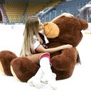 ���������� ������, ���� ������� ��������, 29 ���, ������������ ��� ������, ����� � ���������, c�������� ���������