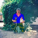  ,   , 71 ,   
