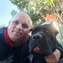  --,   , 41 ,   ,   , c 