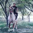  ,   Zurik, 32 ,   ,   