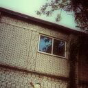   ,   Leonid, 34 ,   ,   , c , 