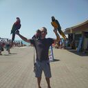 ���������� ����������, ���� ����� ������, 25 ���, ������������ ��� ������, ����� � ���������, c�������� ���������