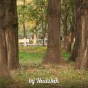 ���������� ���������, ���� ������� Lovemen, 31 ���, ������������ ��� ������, ����� � ���������, c�������� ���������