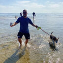 ���������� Ha, ���� ������� Stephen, 50 ���, ������������ ��� c�������� ���������, ���������