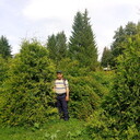  ,   , 41 ,   , 
