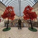  ,   , 36 ,   ,   , c 