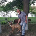  ,   AZ, 46 ,   ,   , 