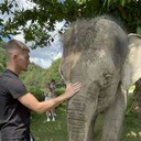 ���������� �����������, ���� ������� ���������, 27 ���, ������������ ��� ������, ����� � ���������