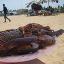 ���������� ������, ���� ������� D m i t r y, 42 ����, ������������ ��� ������