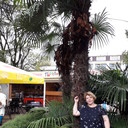  ,    , 56 ,   ,   , c 