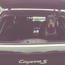 ���������� ������, ���� ������� ������, 37 ���, ������������ ��� ������, ����� � ���������, c�������� ���������