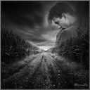  ,   Maks, 44 ,   ,   , c 