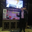 ���������� ���������, ���� ������� ���������, 38 ���, ������������ ��� ������, ����� � ���������, c�������� ���������, ���������