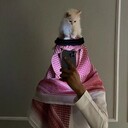 ���������� ������������, ���� ������� ����, 26 ���, ������������ ��� ������, ����� � ���������