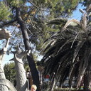 ���������� �����������, ���� ������� ������, 52 ����, ������������ ��� ������, ����� � ���������, c�������� ���������, ���������