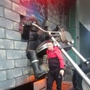 ���������� �������, ���� ������� �������, 43 ����, ������������ ��� ������, ����� � ���������, c�������� ���������