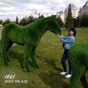  ,   , 44 ,   ,   