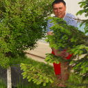 ���������� �������, ���� ������� ����, 50 ���, ������������ ��� ����� � ���������, c�������� ���������