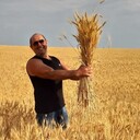 ���������� ���������, ���� ������� ���������, 45 ���, ������������ ��� ����� � ���������, c�������� ���������