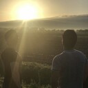 ���������� �������, ���� ������� ����, 28 ���, ������������ ��� ������, ����� � ���������