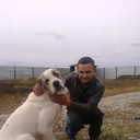 ���������� ������, ���� ������� 87785089140, 35 ���, ������������ ��� ������, ����� � ���������, c�������� ���������