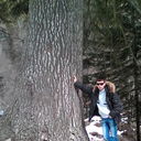 ���������� ����������, ���� ������� �����, 37 ���, ������������ ��� ������, ����� � ���������, c�������� ���������