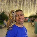 ���������� �����������, ���� ������� ���������, 41 ���, ������������ ��� ������, ����� � ���������